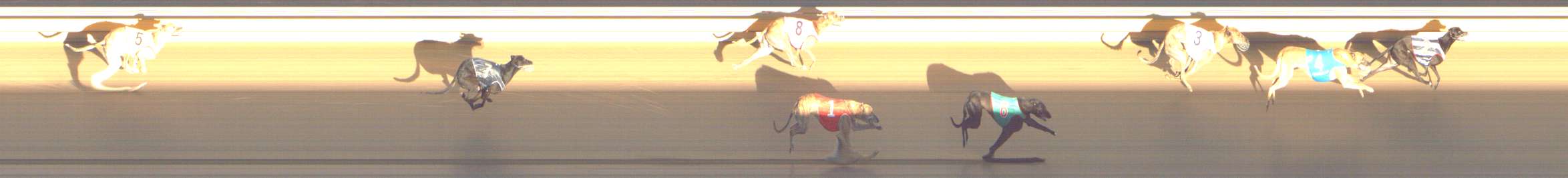 Race result finish photo